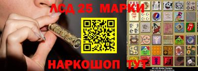 a pvp Новозыбков