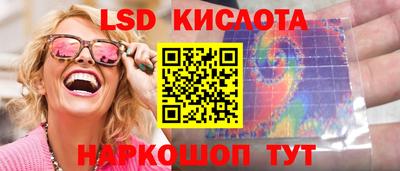a pvp Новозыбков