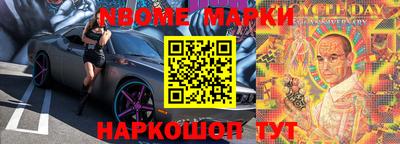 a pvp Новозыбков