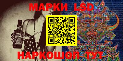 a pvp Новозыбков
