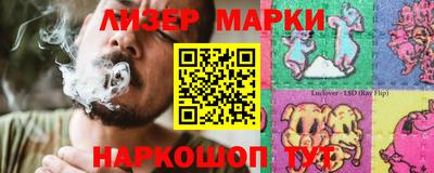 a pvp Новозыбков