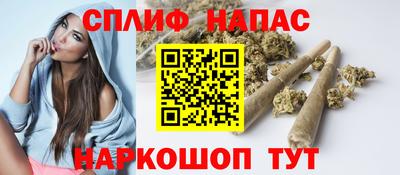 a pvp Новозыбков