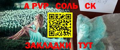 a pvp Новозыбков